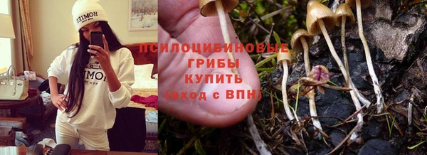 бошки Абдулино