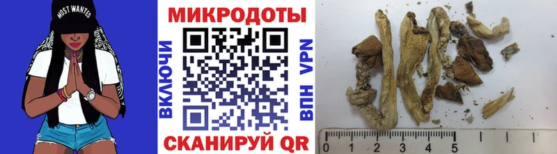 Галлюциногенные грибы Cubensis  закладка  Урень 